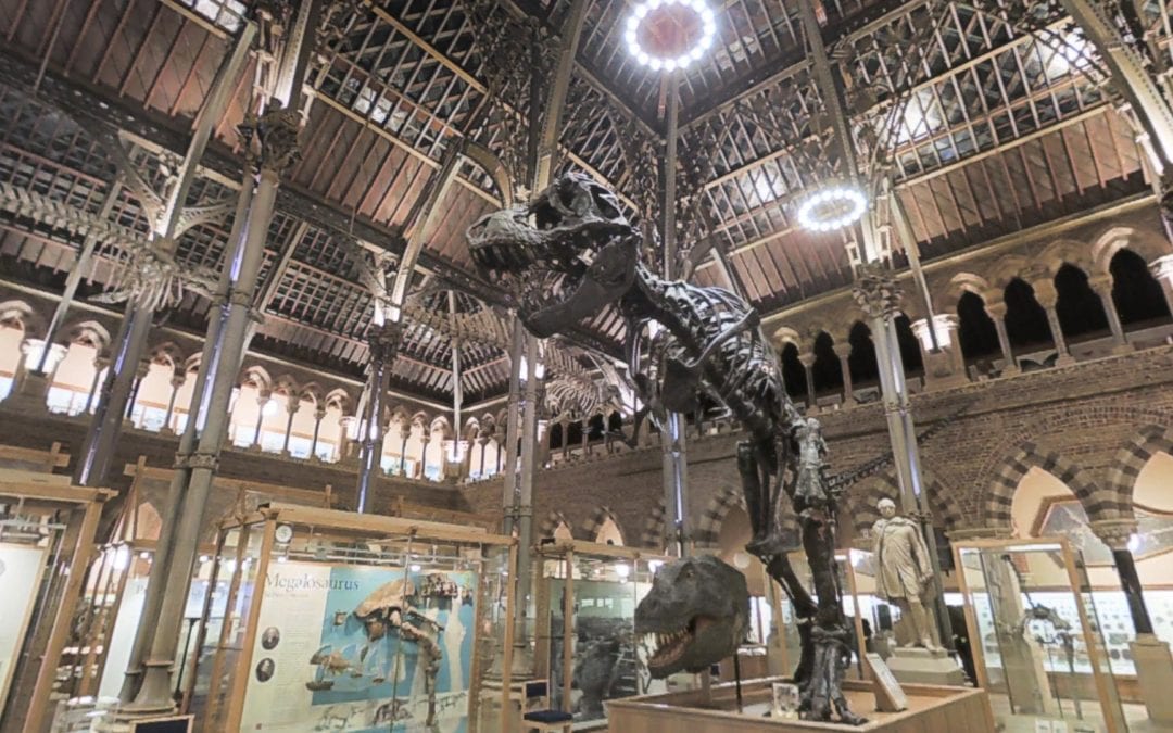 Oxford Natural History Museum